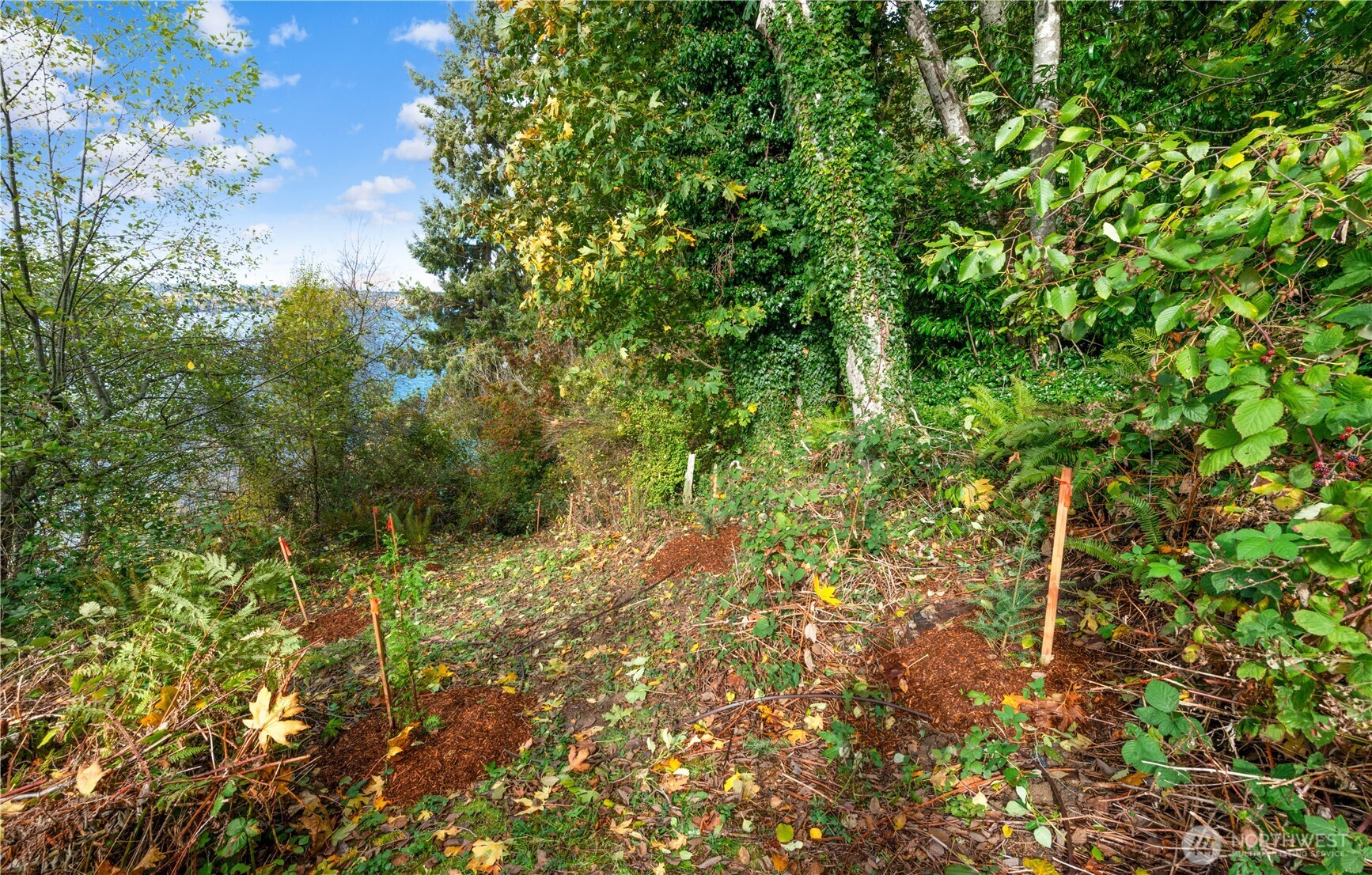 13843 SW 248th Street , Vashon, WA 98070