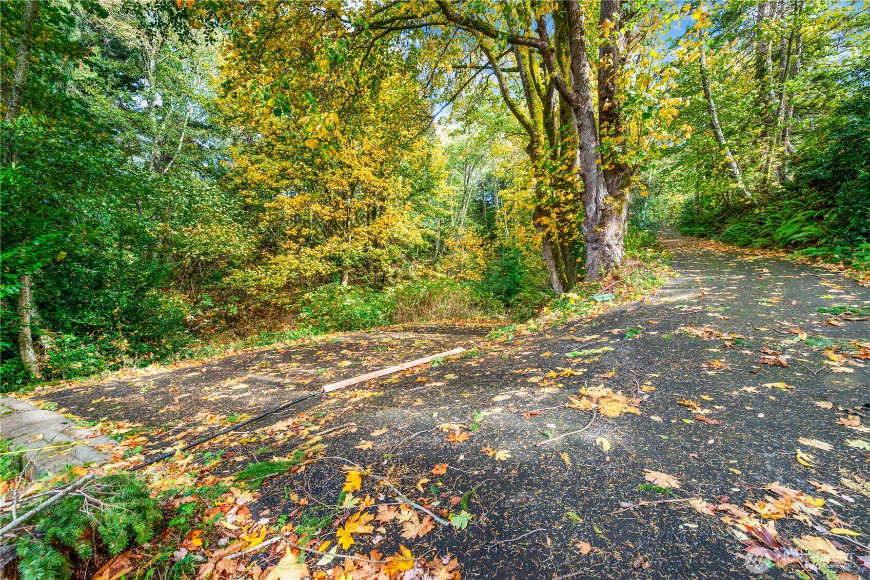 13843 SW 248th Street , Vashon, WA 98070