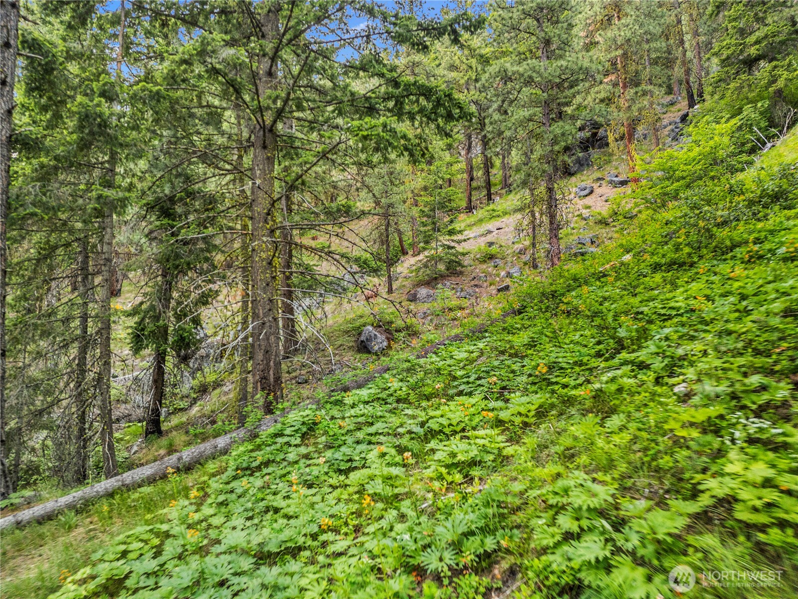 3720 Icicle Rd FS 7600 Road , Leavenworth, WA 98826