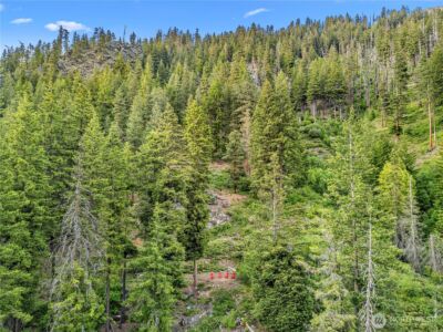 3720 Icicle Rd FS 7600 Road , Leavenworth, WA 98826 - Photo 10