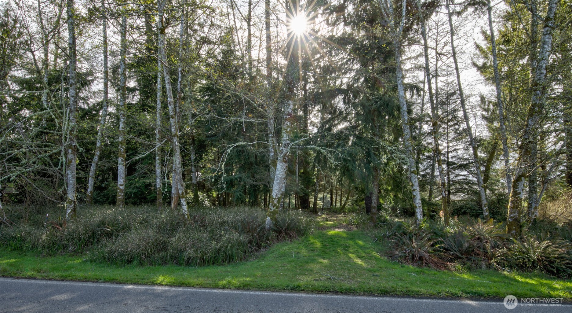 189 Duck Lake Drive NE, Ocean Shores, WA 98569