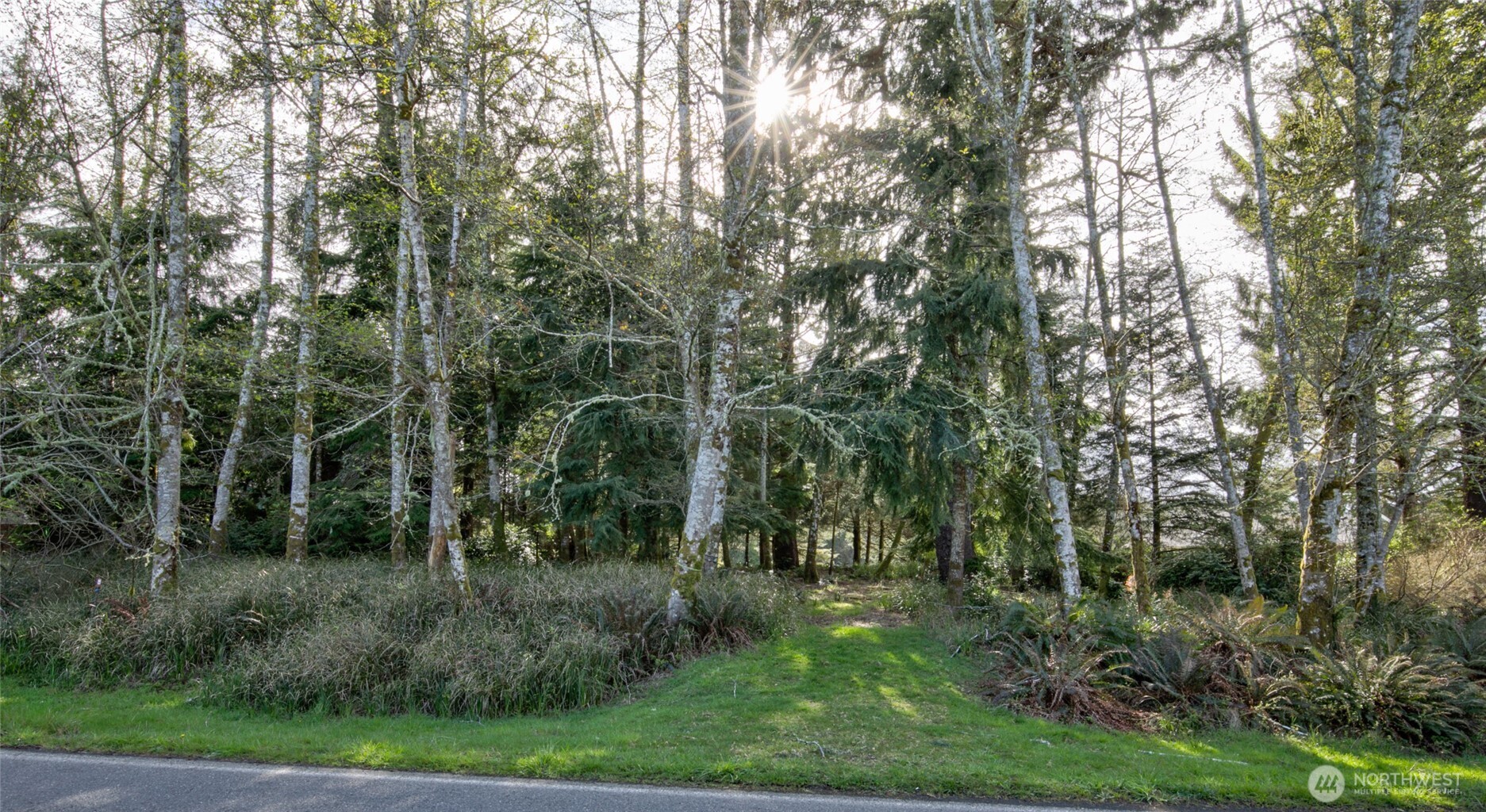189 Duck Lake Drive NE, Ocean Shores, WA 98569