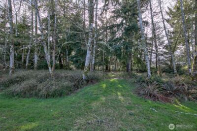 189 Duck Lake Drive NE, Ocean Shores, WA 98569 - Photo 3