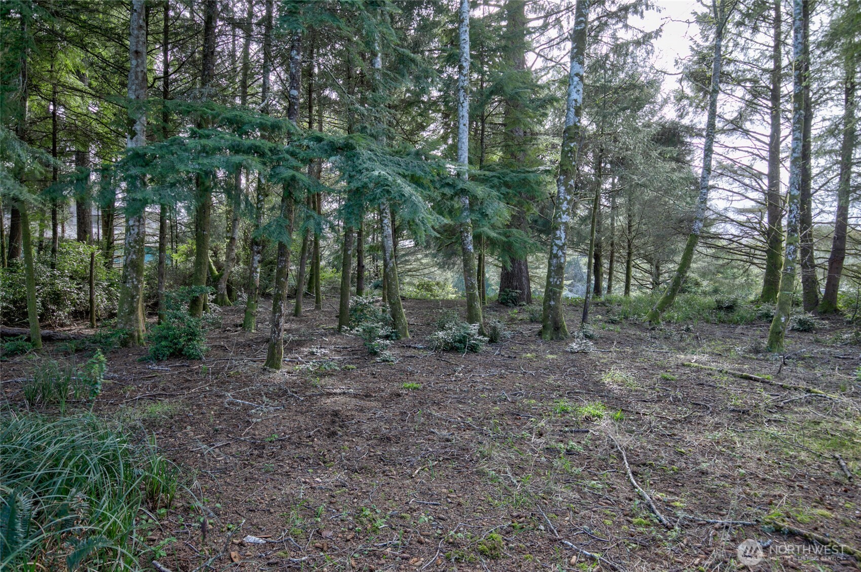 189 Duck Lake Drive NE, Ocean Shores, WA 98569