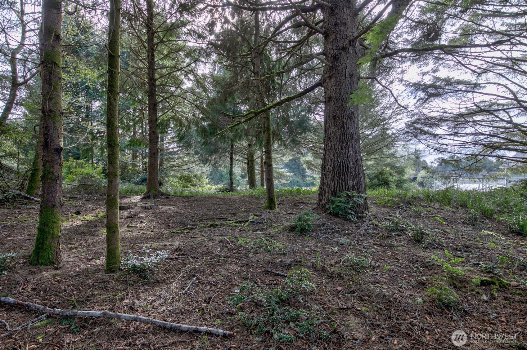 189 Duck Lake Drive NE, Ocean Shores, WA 98569