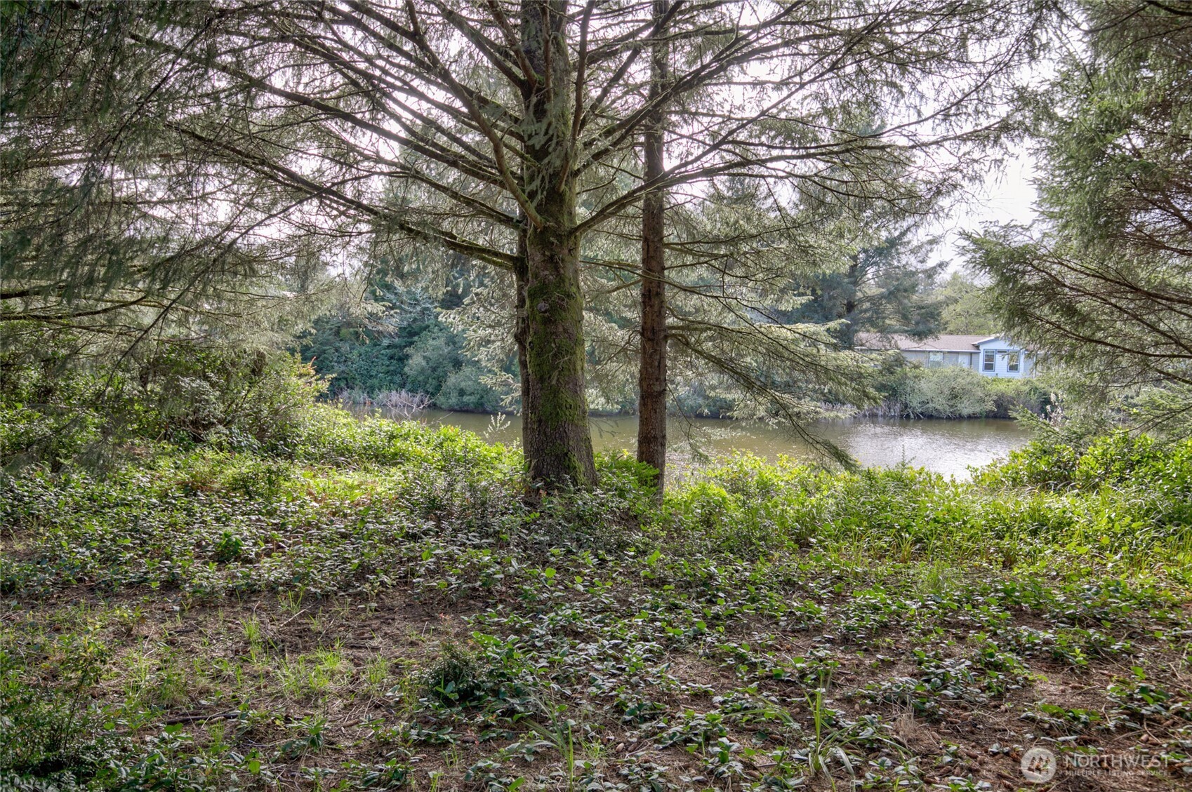 189 Duck Lake Drive NE, Ocean Shores, WA 98569