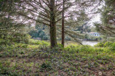 189 Duck Lake Drive NE, Ocean Shores, WA 98569 - Photo 6