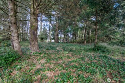 189 Duck Lake Drive NE, Ocean Shores, WA 98569 - Photo 8