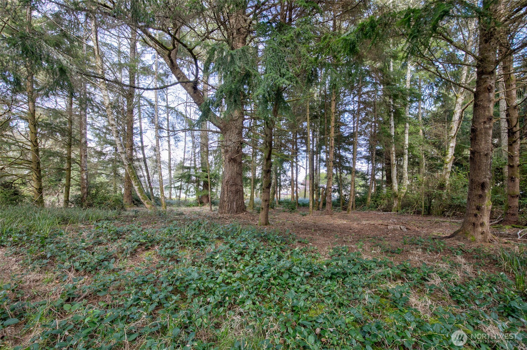 189 Duck Lake Drive NE, Ocean Shores, WA 98569