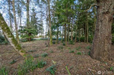 189 Duck Lake Drive NE, Ocean Shores, WA 98569 - Photo 10