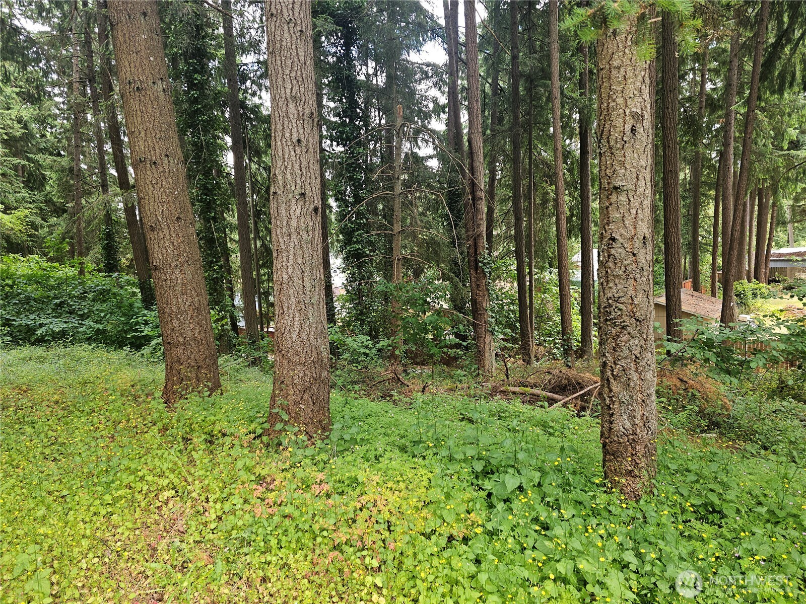 6923 20th Avenue SE #1, Lacey, WA 98503