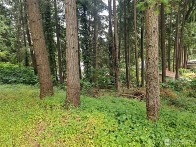 6923 20th Avenue SE #1, Lacey, WA 98503 - Photo 12