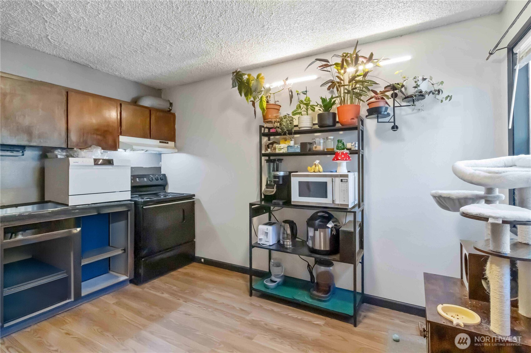 1337 10th Avenue , Longview, WA 98632