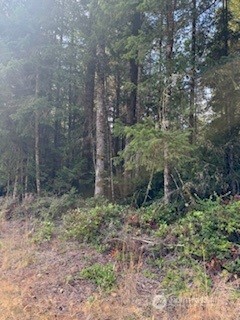 0 Old Sawmill Place NW, Bremerton, WA 98383