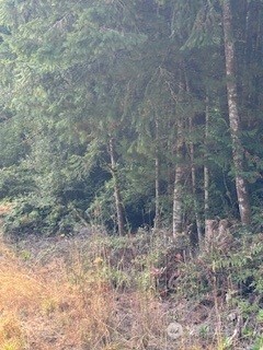 0 Old Sawmill Place NW, Bremerton, WA 98383