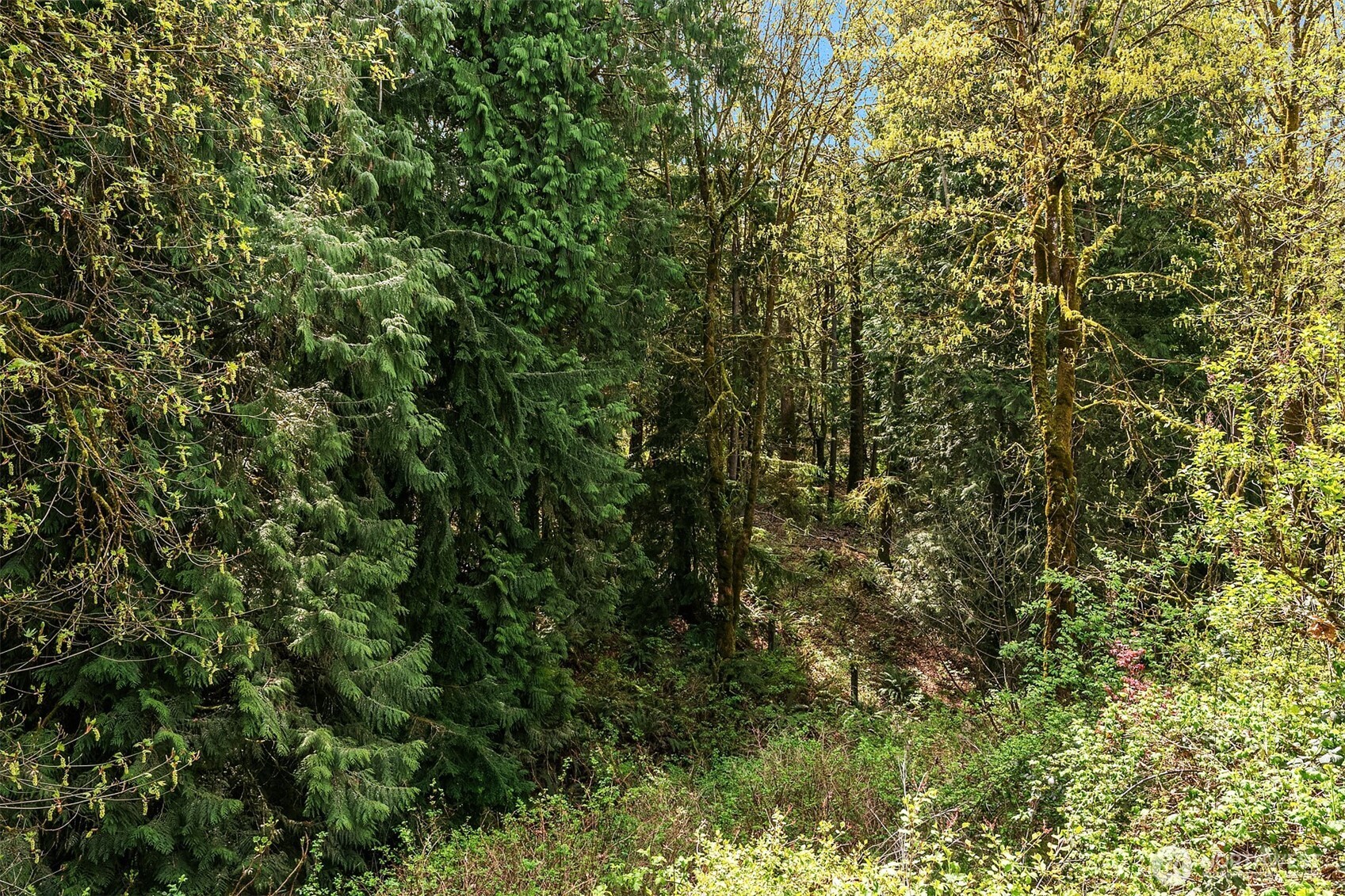 3402 20th Avenue Ct SE, Puyallup, WA 98372