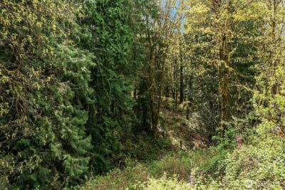 3402 20th Avenue Ct SE, Puyallup, WA 98372 - Photo 28