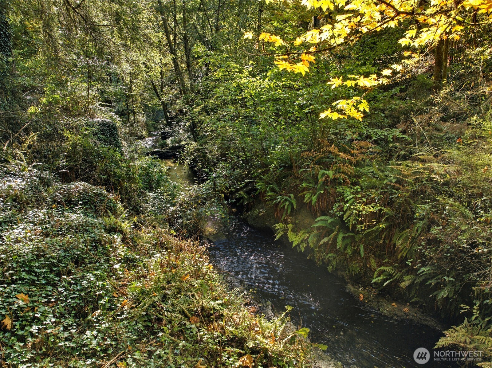 6017 64th Street W, University Place, WA 98467
