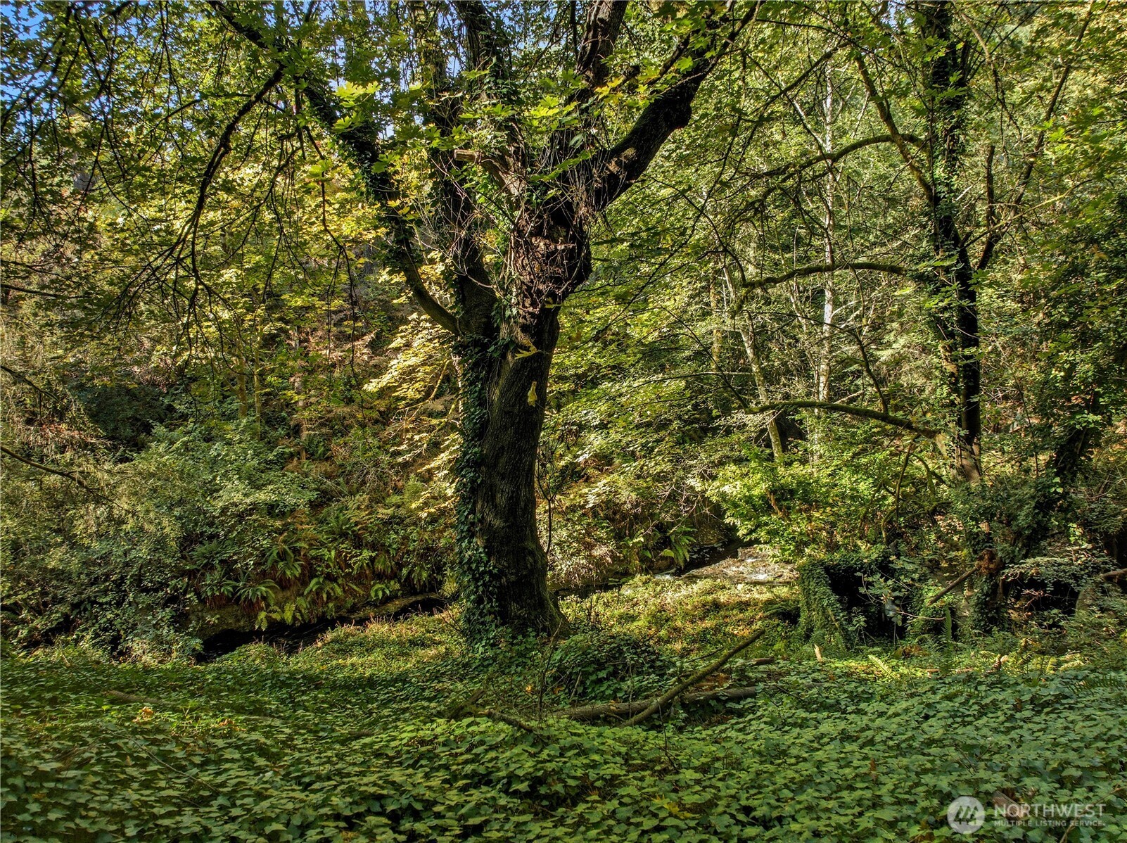 6017 64th Street W, University Place, WA 98467
