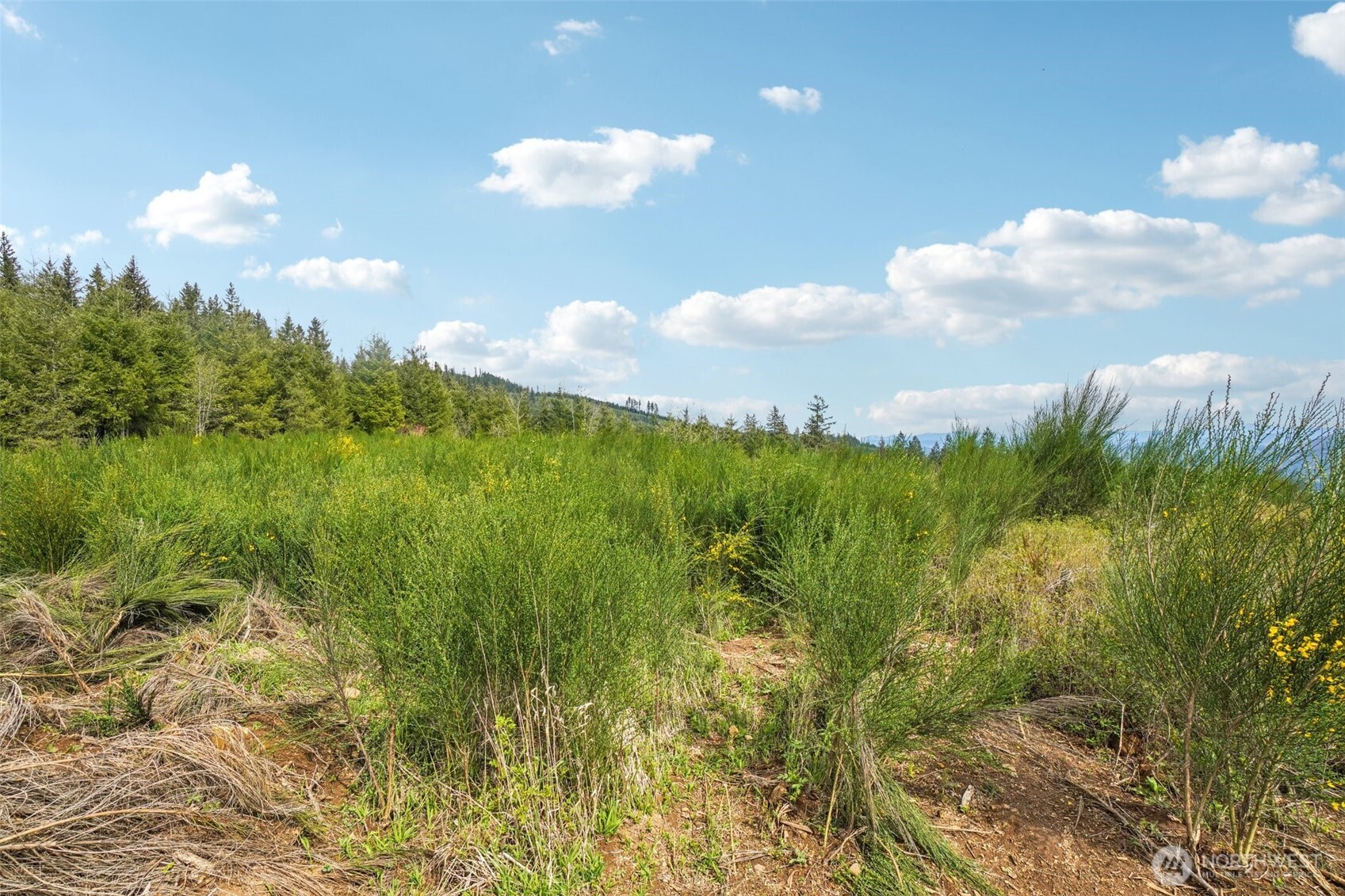 181 High Bank Lane , Woodland, WA 98674