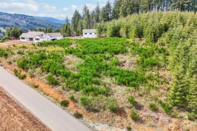 181 High Bank Lane , Woodland, WA 98674 - Photo 33