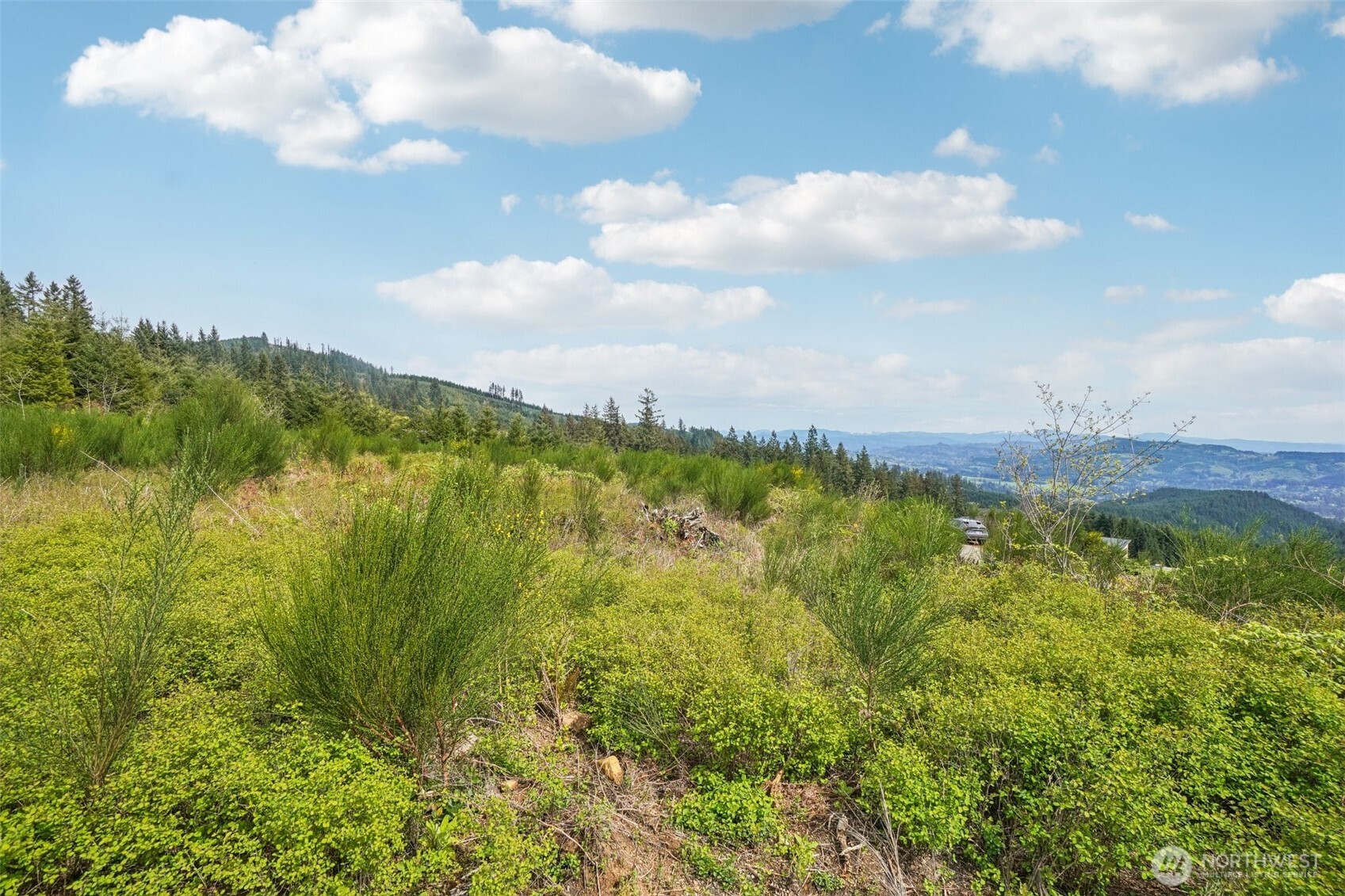 181 High Bank Lane , Woodland, WA 98674