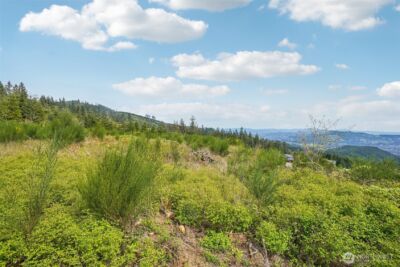 181 High Bank Lane , Woodland, WA 98674 - Photo 35