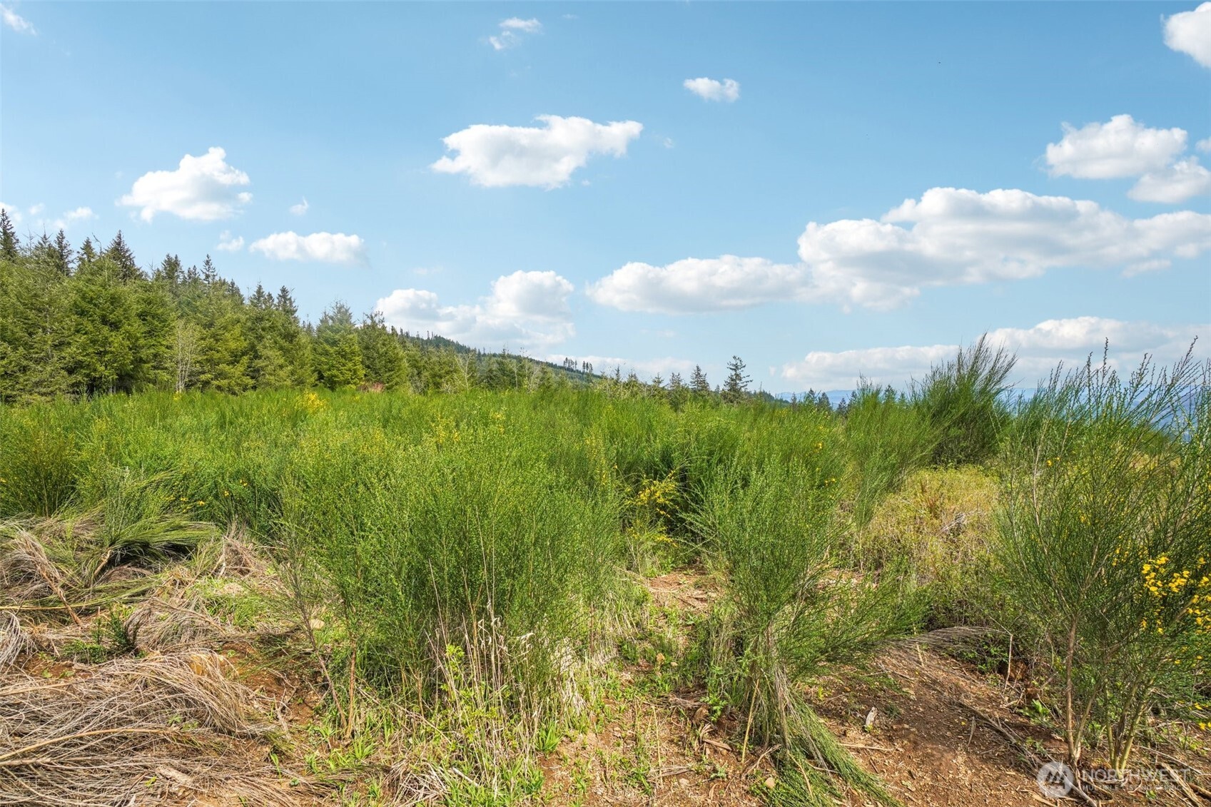 181 High Bank Lane , Woodland, WA 98674