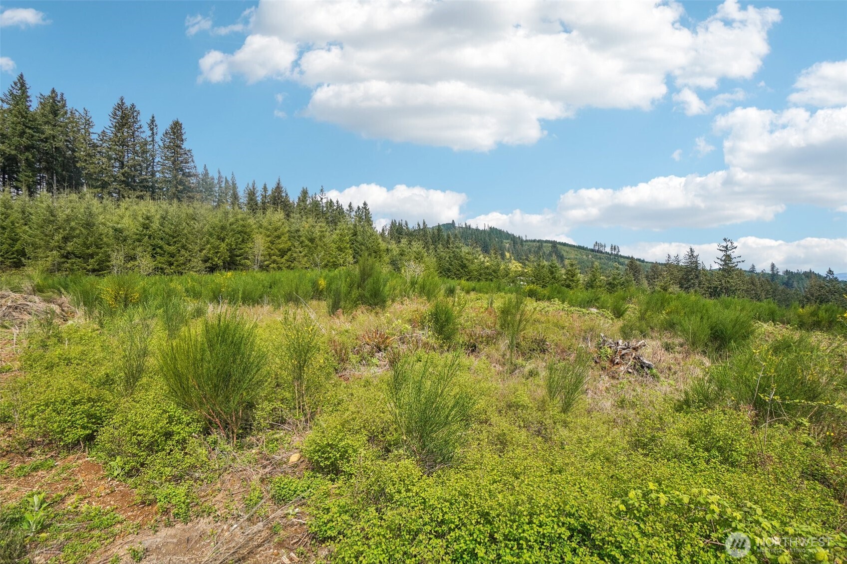 181 High Bank Lane , Woodland, WA 98674