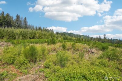 181 High Bank Lane , Woodland, WA 98674 - Photo 38