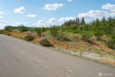 181 High Bank Lane , Woodland, WA 98674 - Photo 4