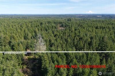 0 Romance Hill Road , Belfair, WA 98528 - Photo 3