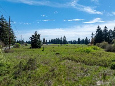 18215 SW Sargent Road , Rochester, WA 98579 - Photo 16