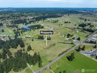 18215 SW Sargent Road , Rochester, WA 98579 - Photo 10