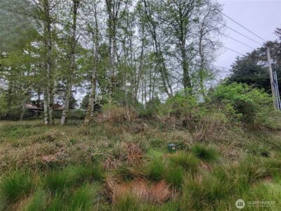 789 Mount Olympus Avenue SE, Ocean Shores, WA 98569-9748 - Photo 4