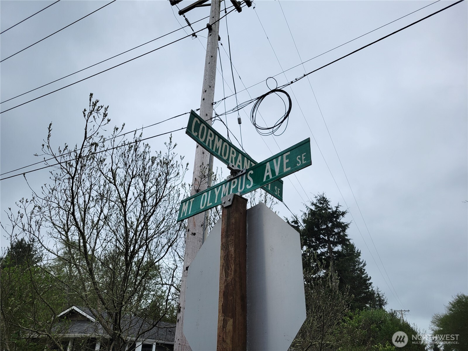 789 Mount Olympus Avenue SE, Ocean Shores, WA 98569-9748