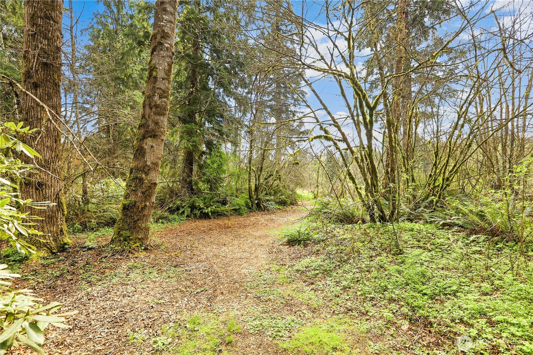 10415 273rd Avenue SE, Monroe, WA 98272