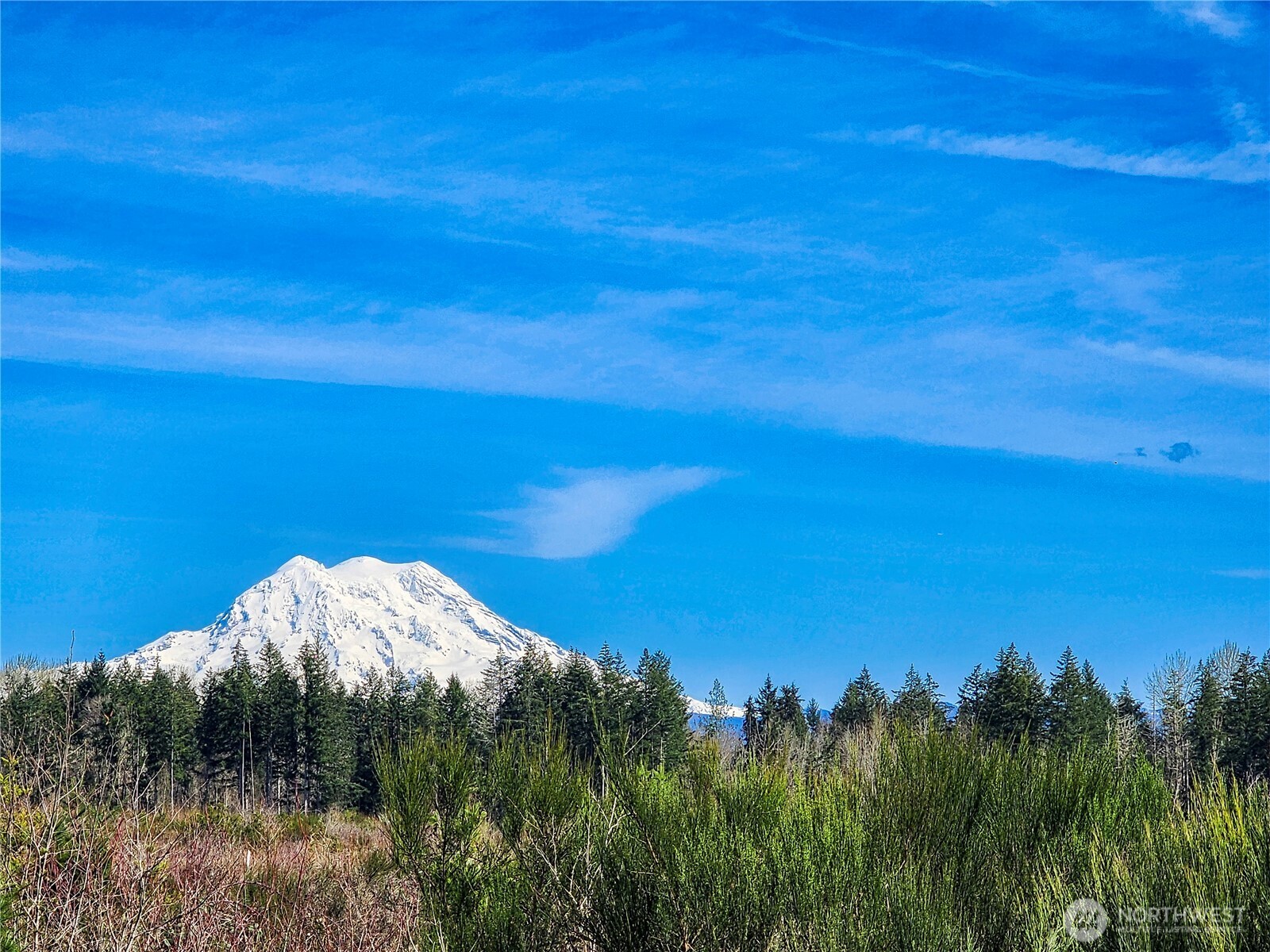 1631 334th Street E, Roy, WA 98580