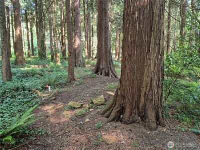 35275 Hood Canal Drive NE, Kingston, WA 98346 - Photo 9