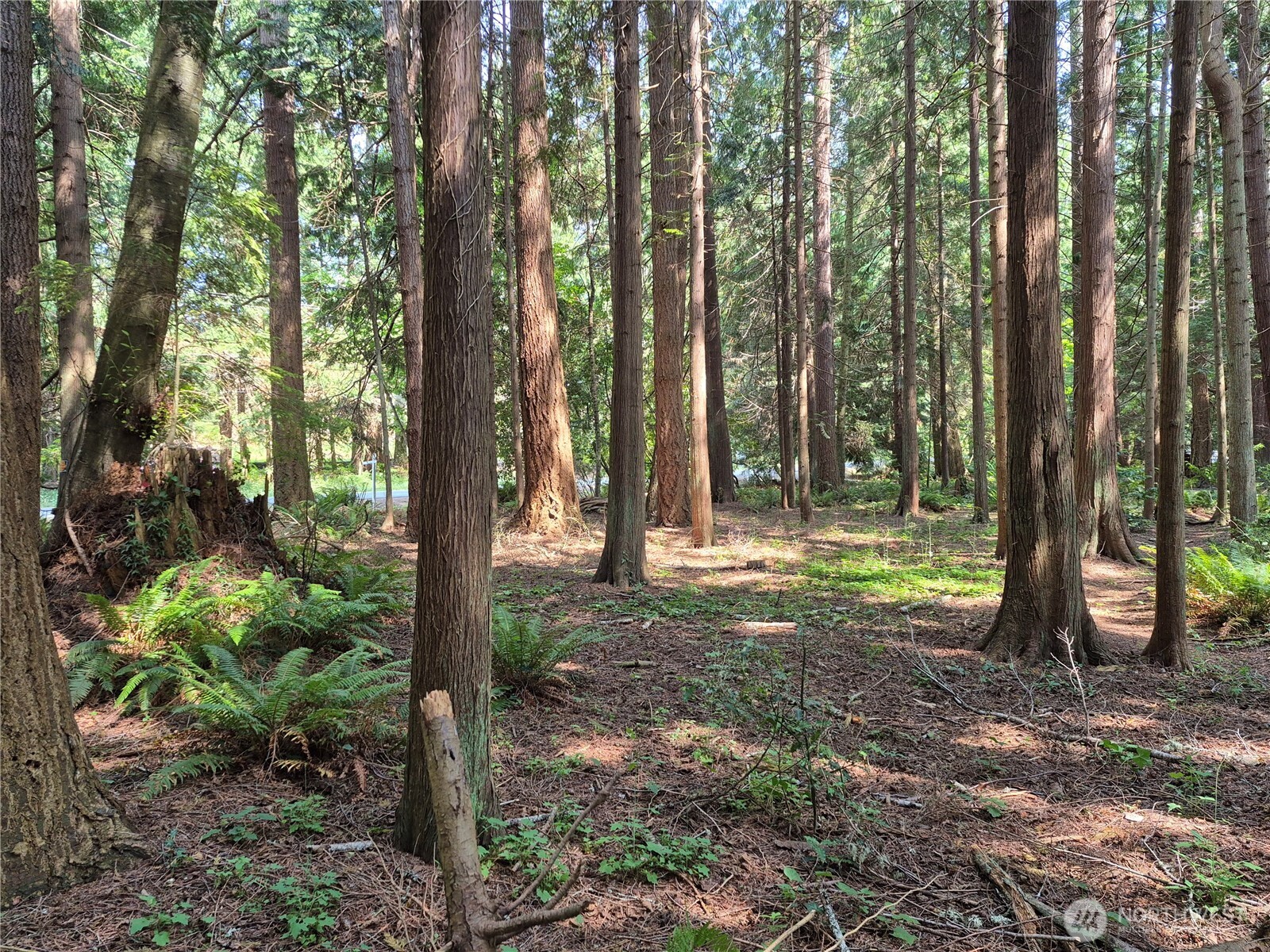 35275 Hood Canal Drive NE, Kingston, WA 98346