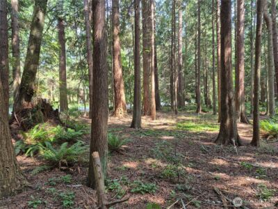 35275 Hood Canal Drive NE, Kingston, WA 98346 - Photo 10
