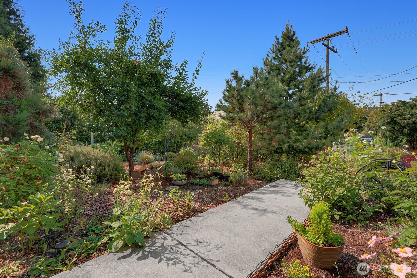 3660 Courtland Place S, Seattle, WA 98144