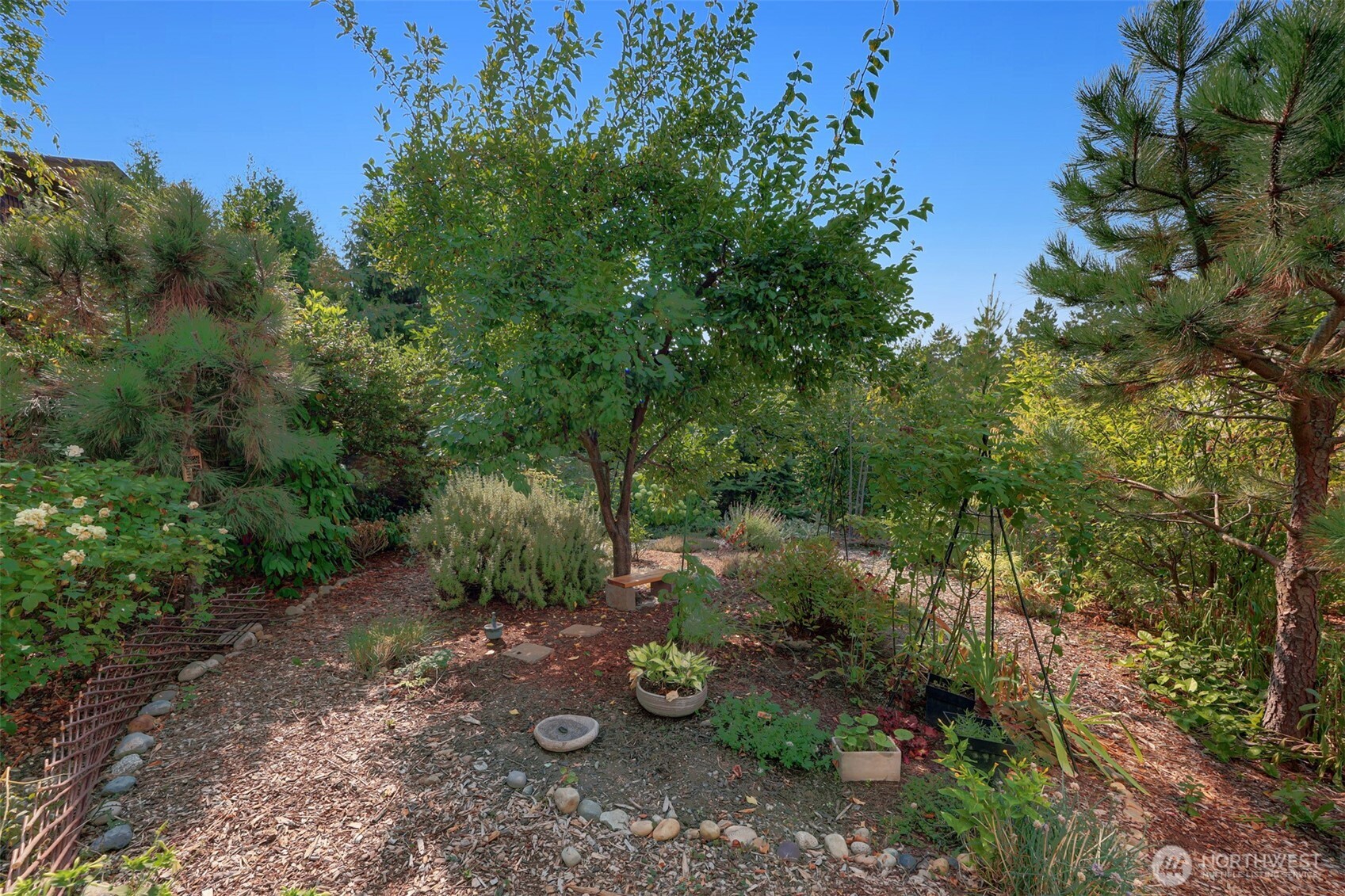 3660 Courtland Place S, Seattle, WA 98144