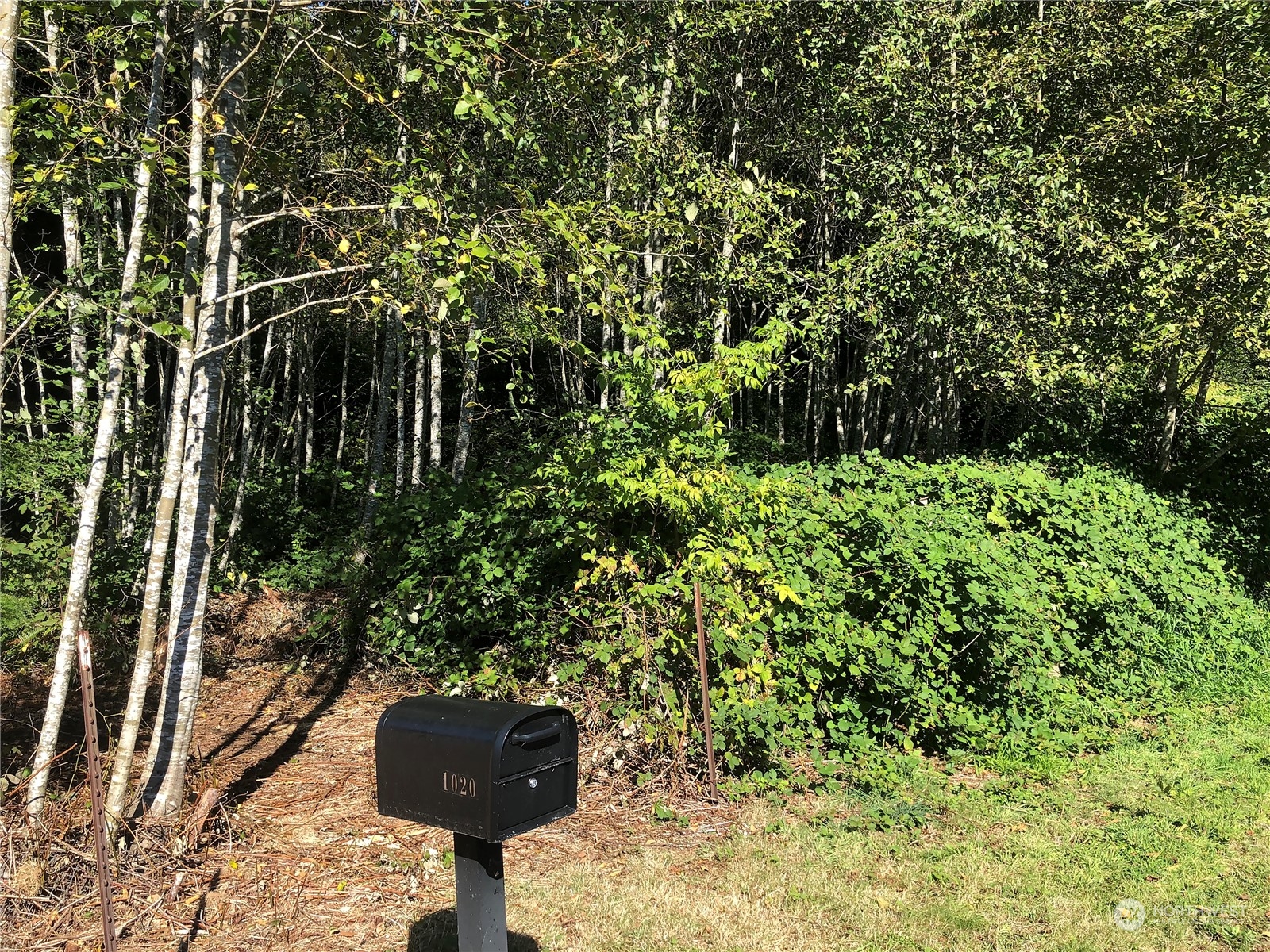 1020 Rayonier Avenue , Hoquiam, WA 98550