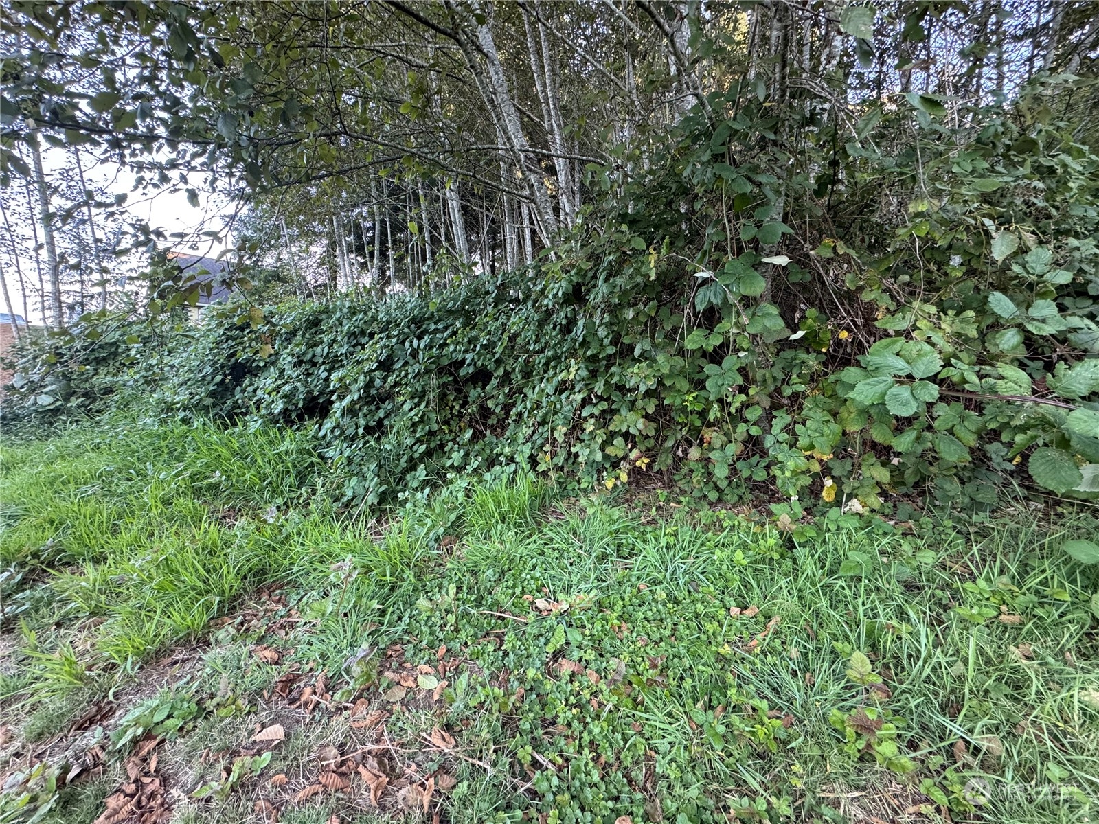 1020 Rayonier Avenue , Hoquiam, WA 98550