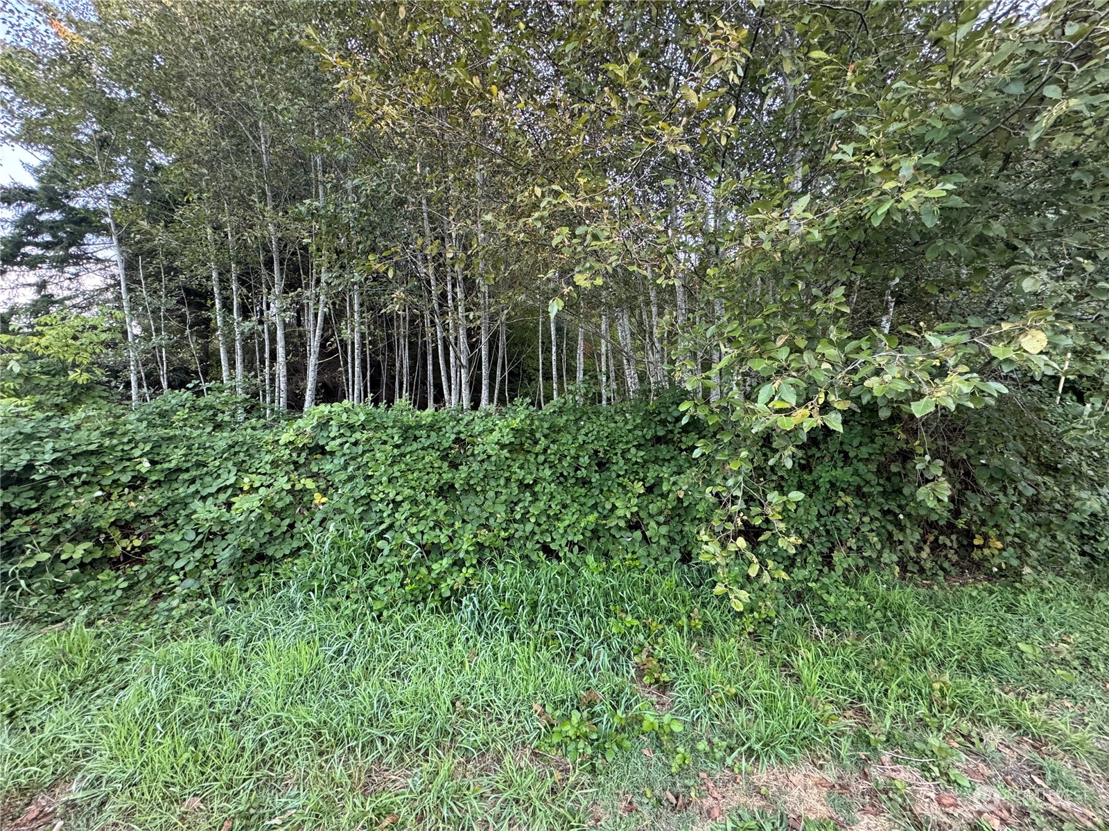 1020 Rayonier Avenue , Hoquiam, WA 98550