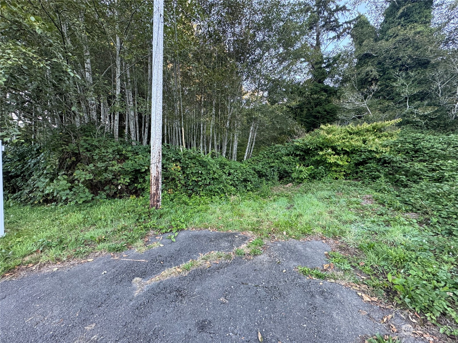 1020 Rayonier Avenue , Hoquiam, WA 98550