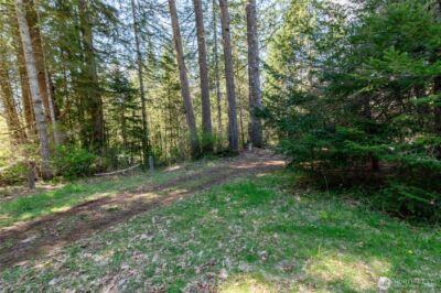 0 NE Mission Creek Road , Belfair, WA 98528 - Photo 1