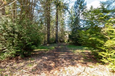 0 NE Mission Creek Road , Belfair, WA 98528 - Photo 12