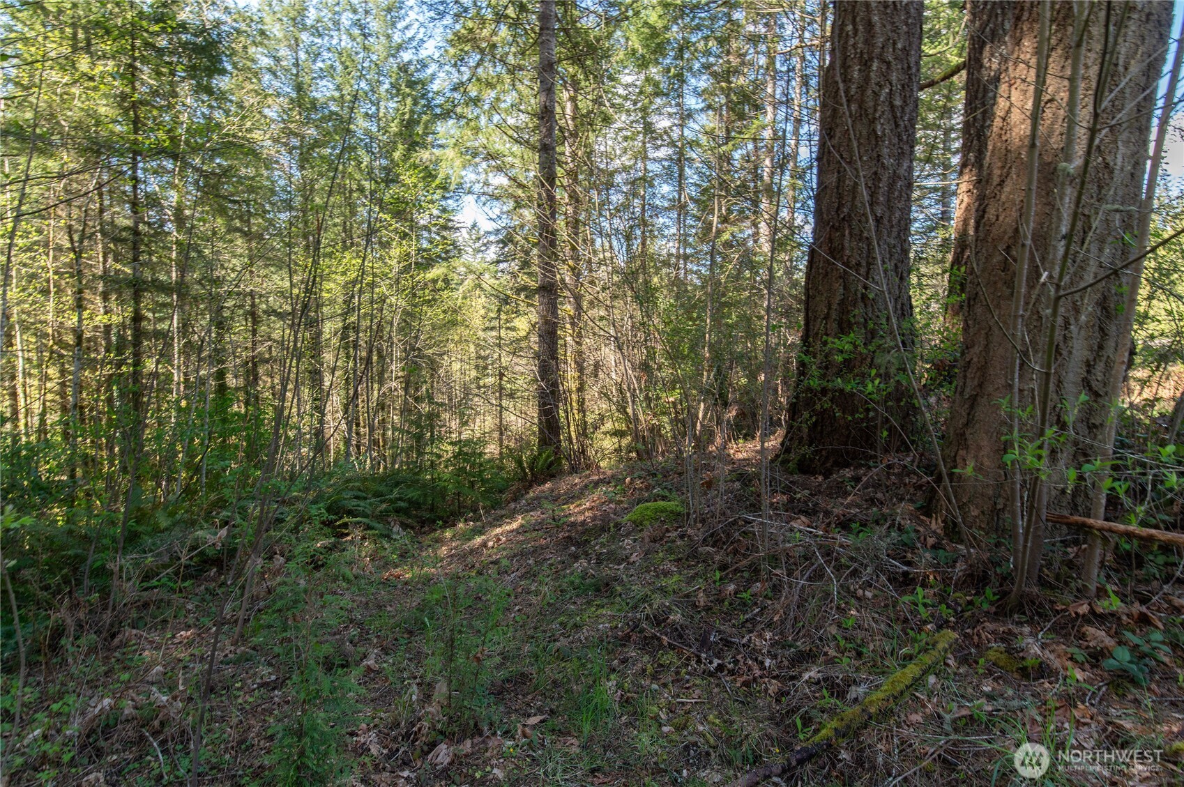0 NE Mission Creek Road , Belfair, WA 98528